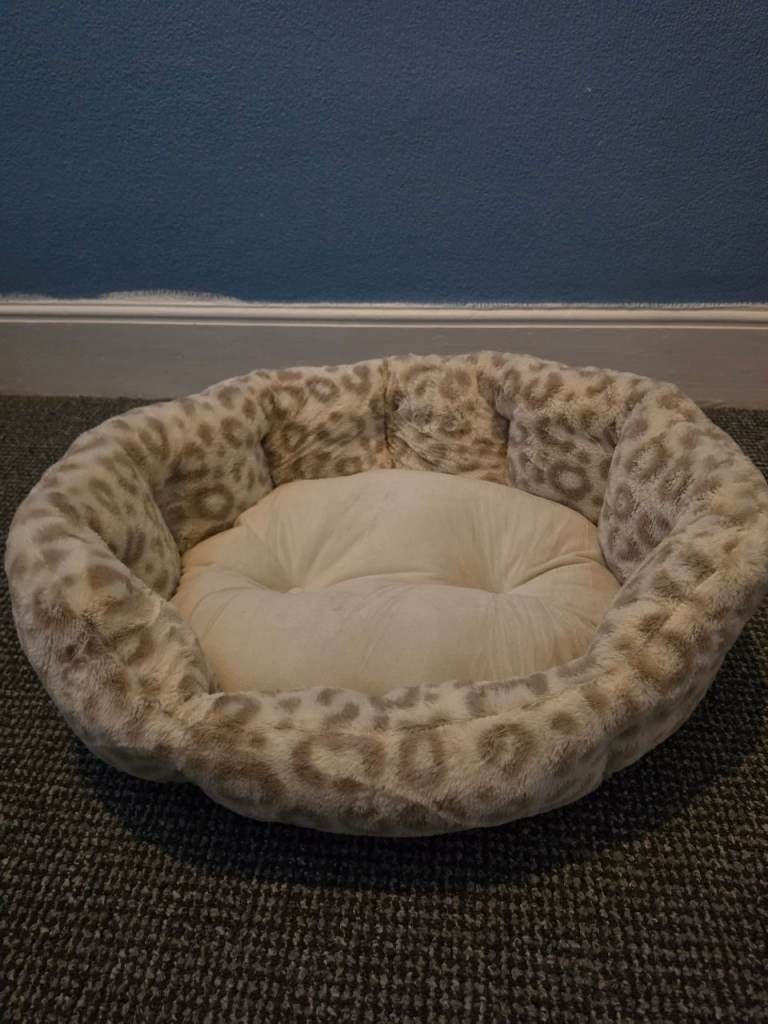 Pet bed
