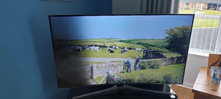 Samsung Curved 55 inch Smart TV Faulty 