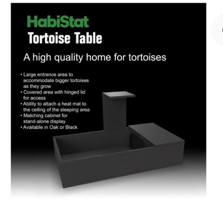 Tortoise Table With Accessories. 