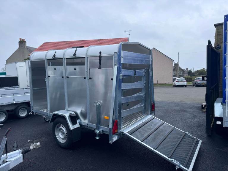 BRAND NEW SINGLE AXLE LIVESTOCK/ SHEEP TRAILER 1300KG BRAKED