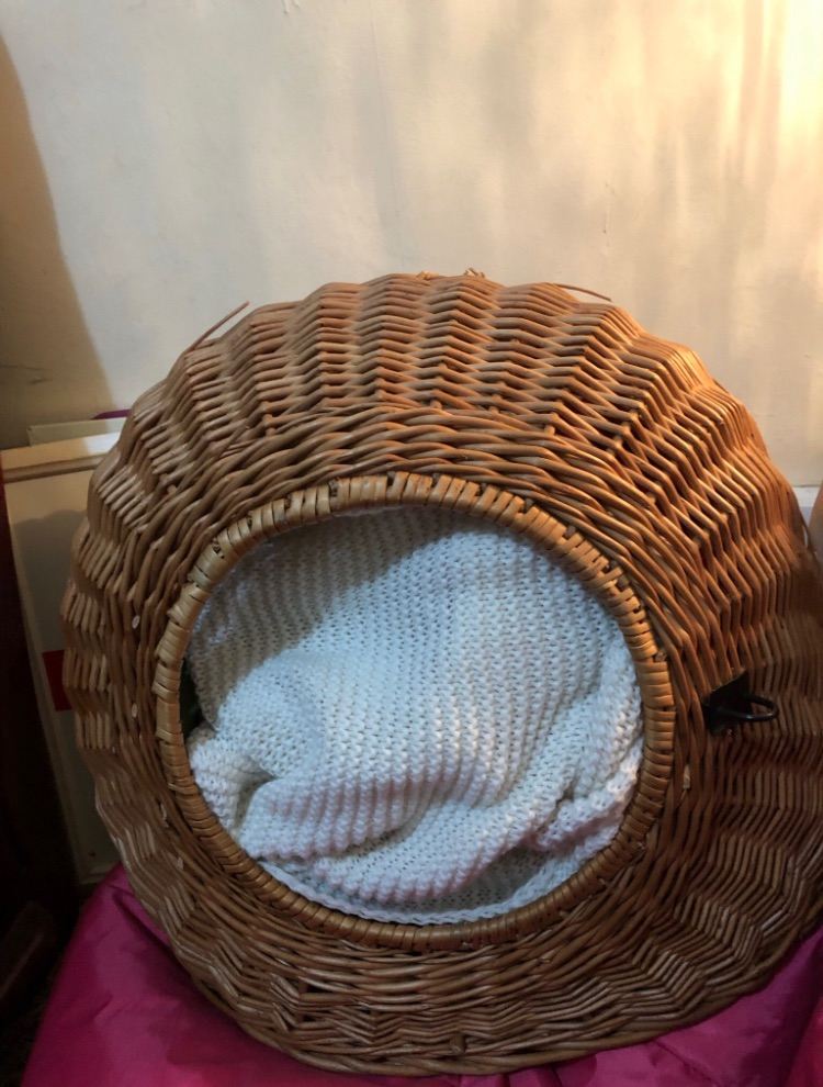 Wicker basket for cat or dog in very good condition 