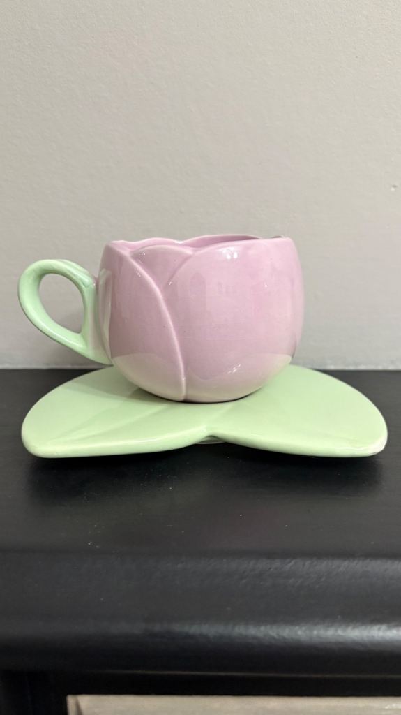 NEW cup and saucer set