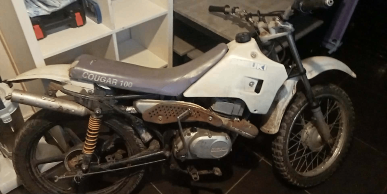 Suzuki cougar 100 cc 