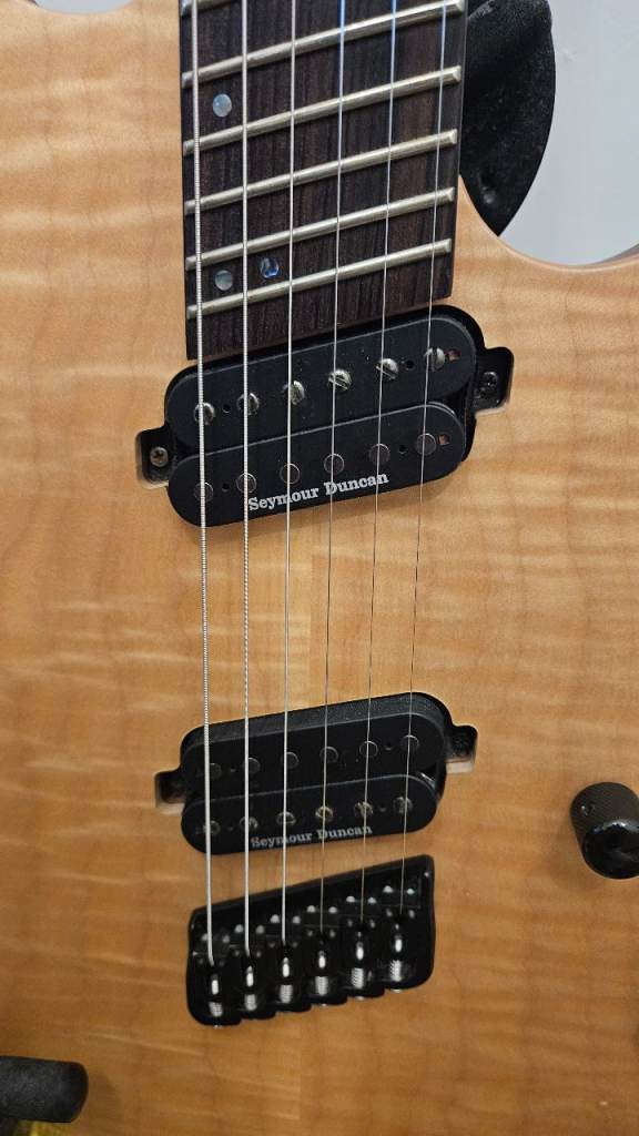 ESP LTD Deluxe MS1000 Electric Guitar with hardcase