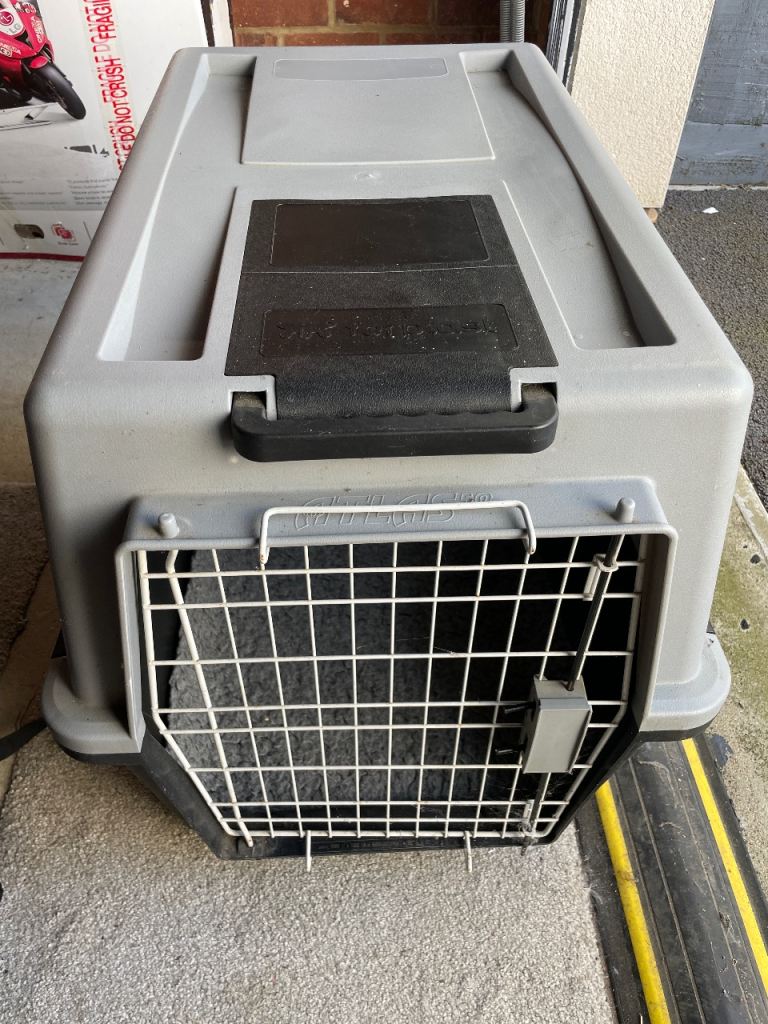 Large Pet Carrier