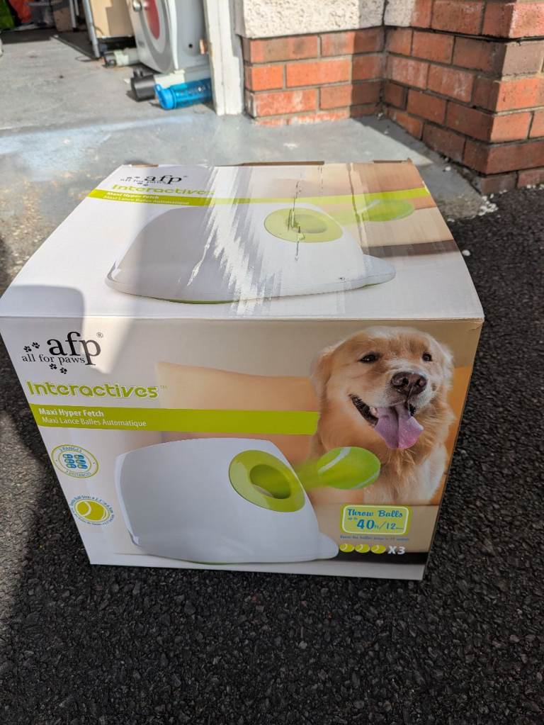 Automatic ball thrower for dogs