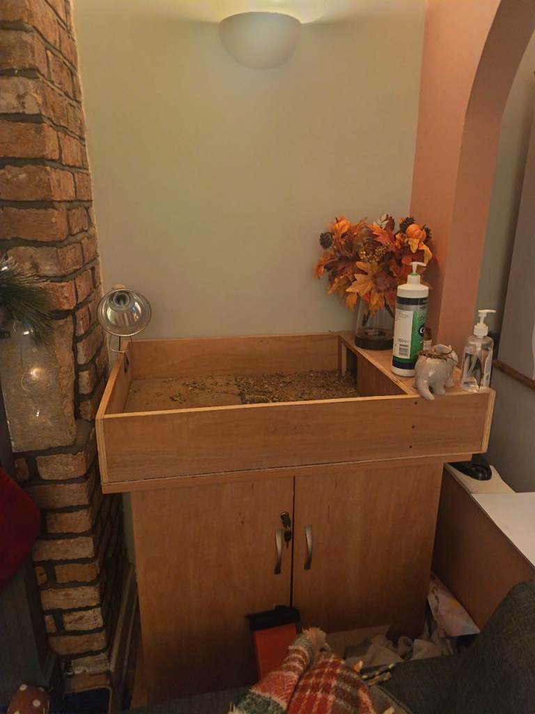 Tortoise table and cabinet. 