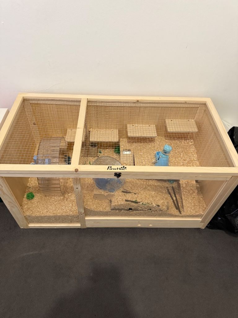 Syrian hamster cage 