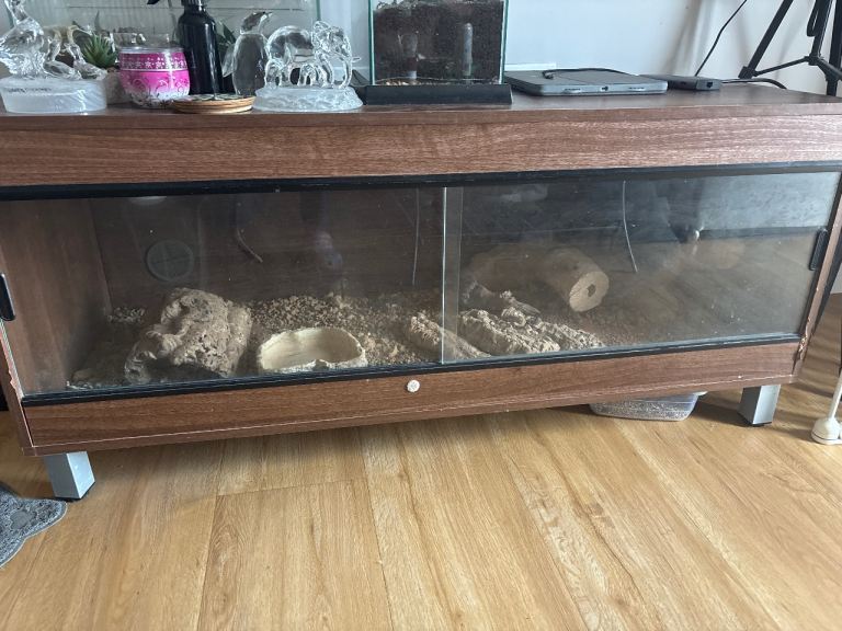 Reptile vivarium