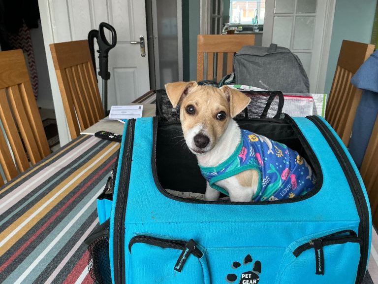 Pet Gear bag for bike handle bar