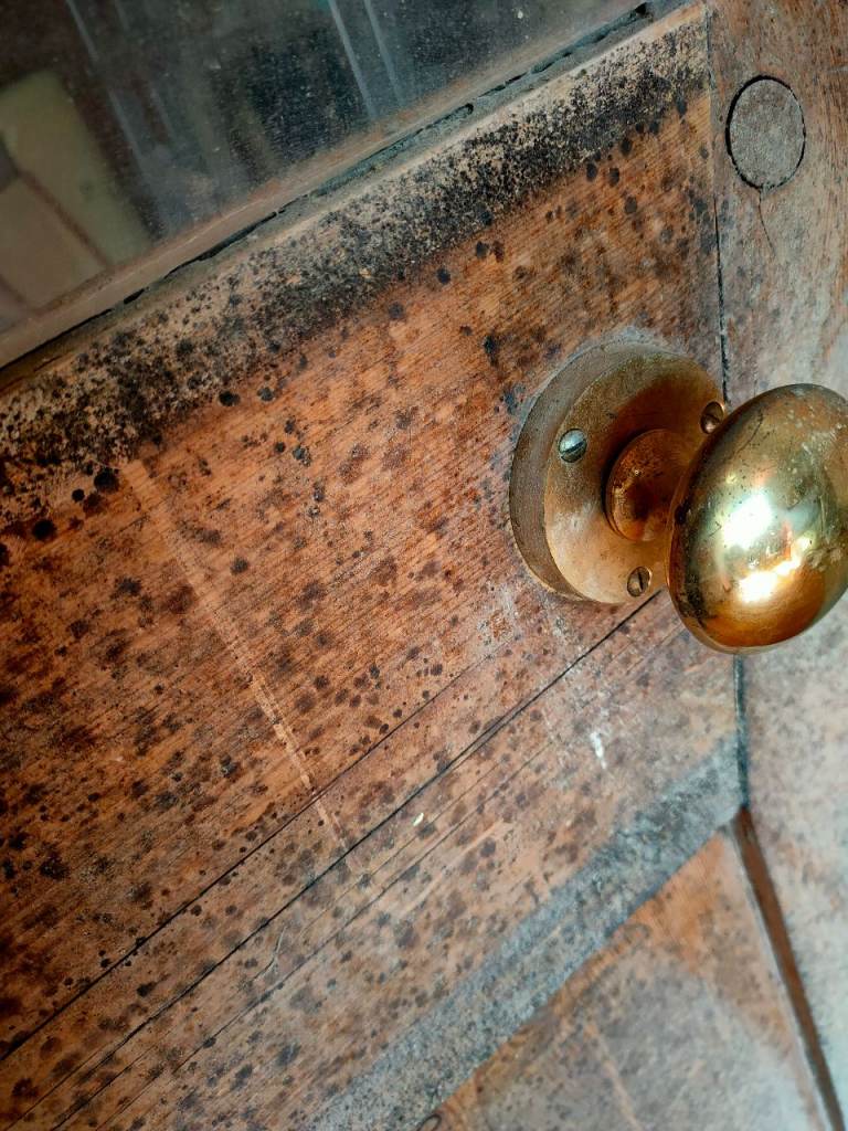 Internal Wooden Glazed Door