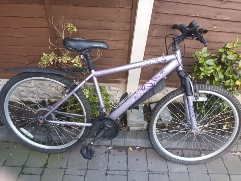 Mountain bike 