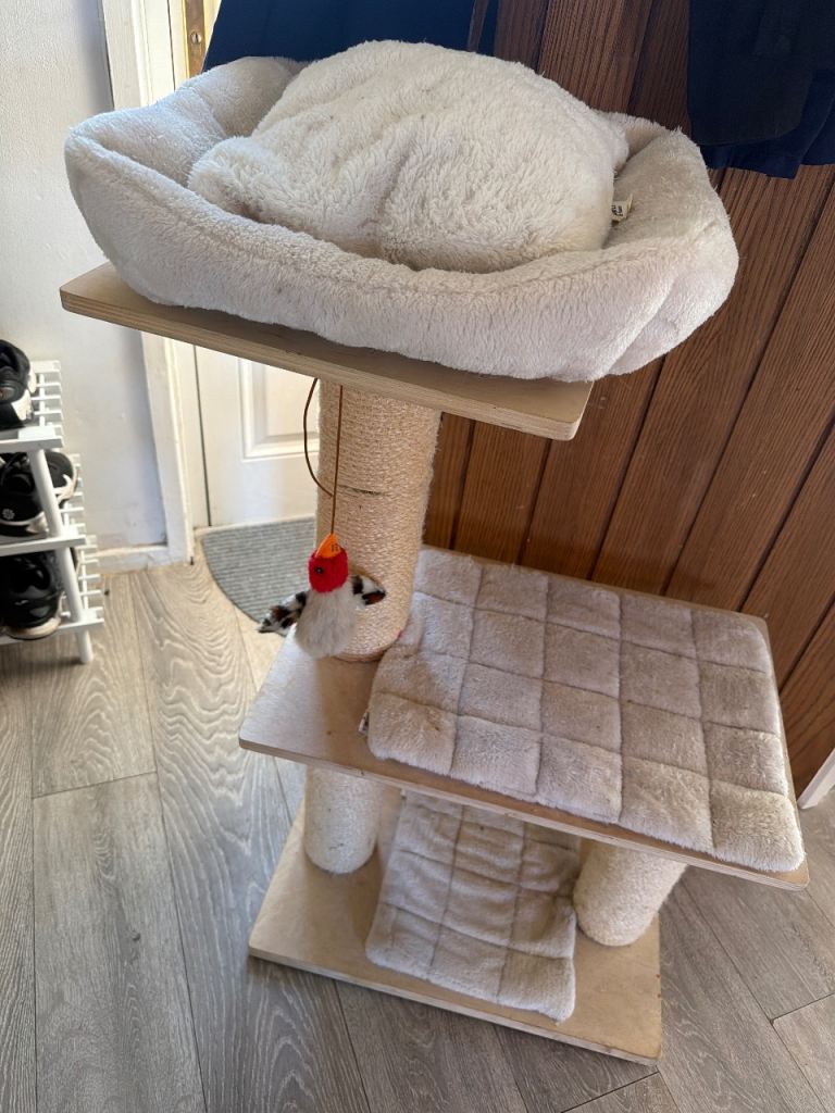 Free well used cat tree 