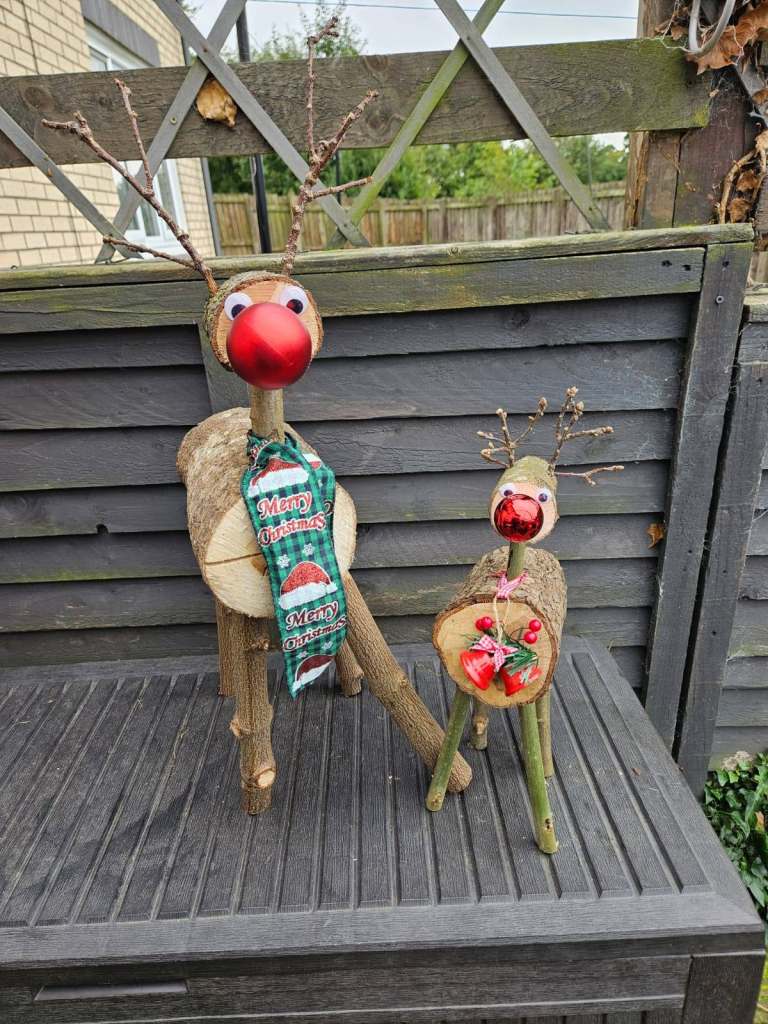 Mother and kid reindeer 
