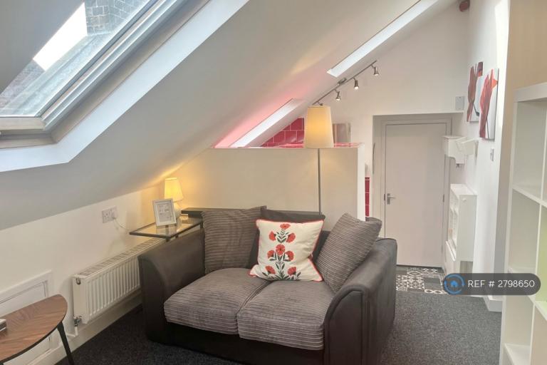 1 bedroom flat in Stafford Road, Sheffield, S2 (1 bed) (#2798650)