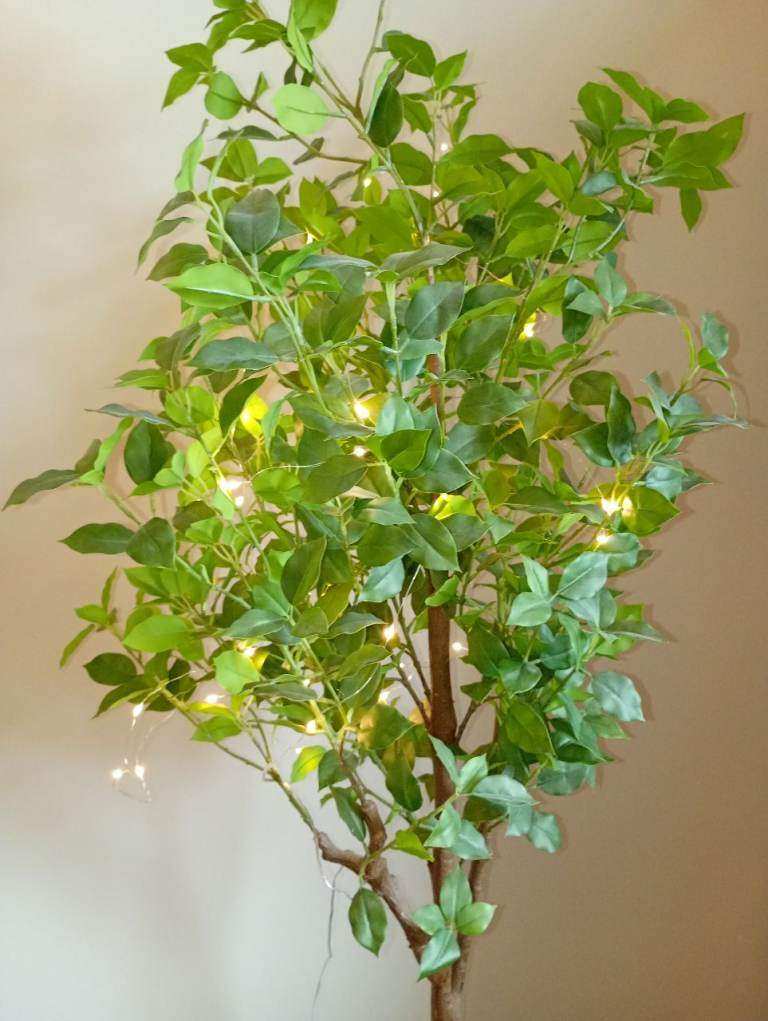 2 Gorgeous Faux/Artificial Fiscus Trees byLa Redoute - RRP £110