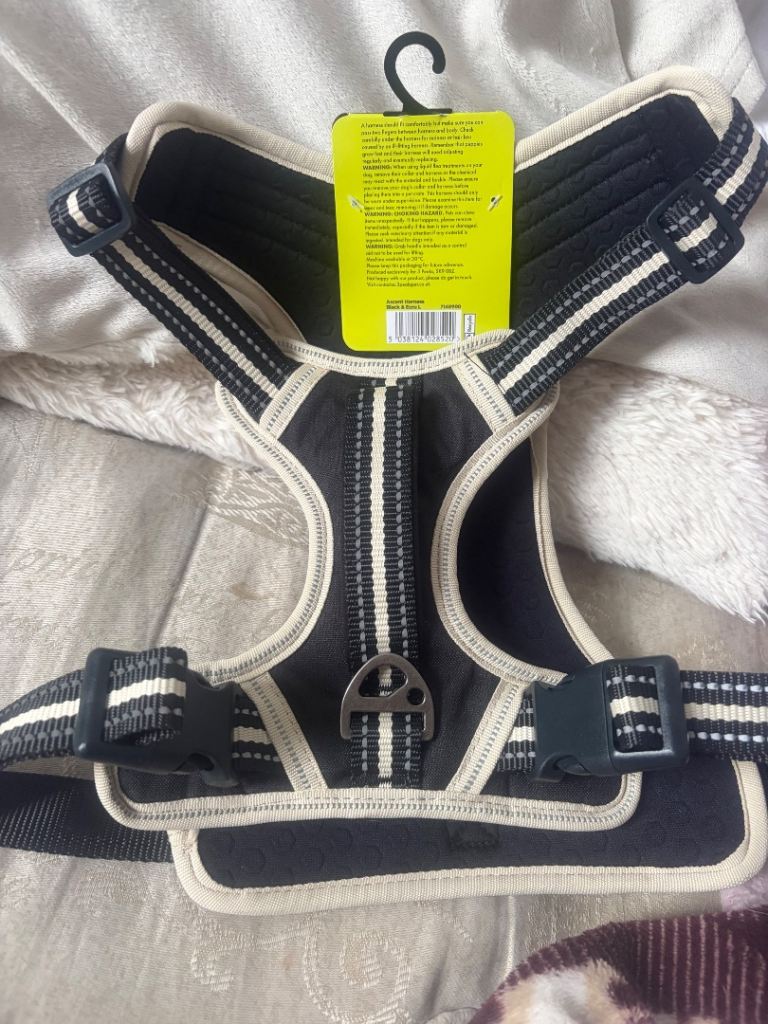 Dog harness size L