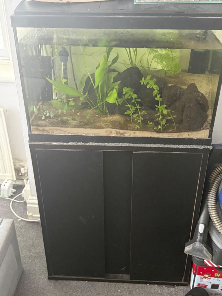 Fish tank 