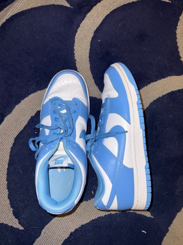 blue dunks 