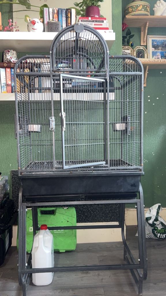 Parrot/bird cage