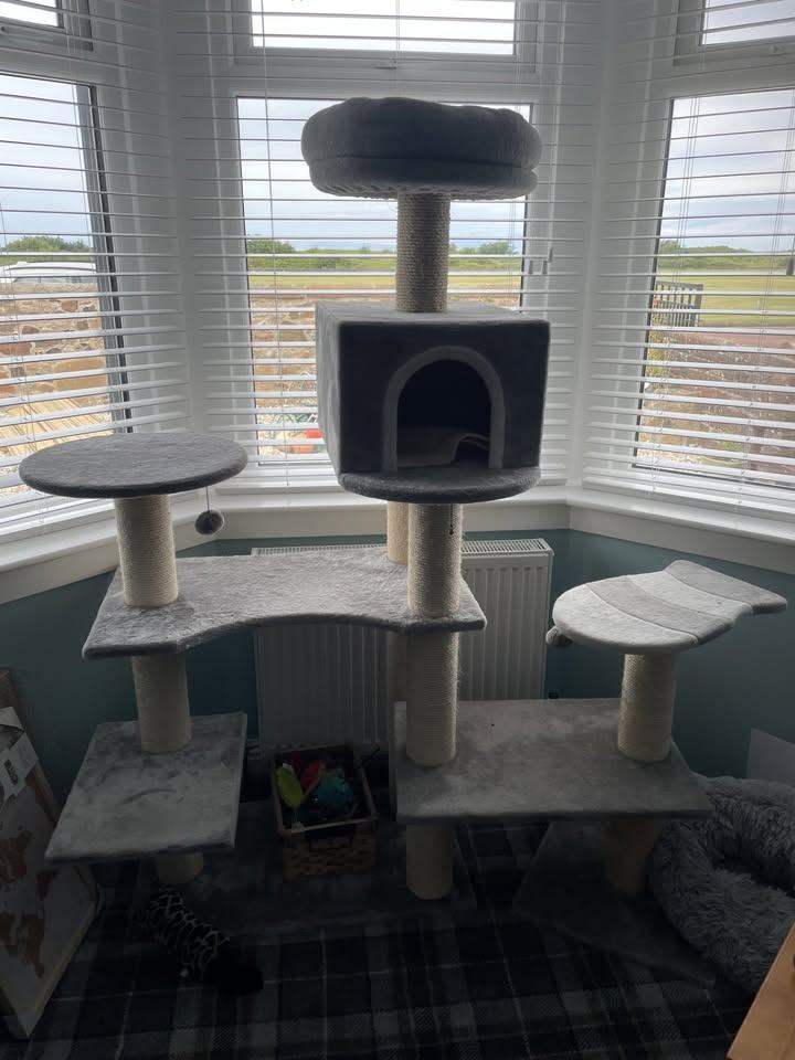 Cat Play Tower For Sale