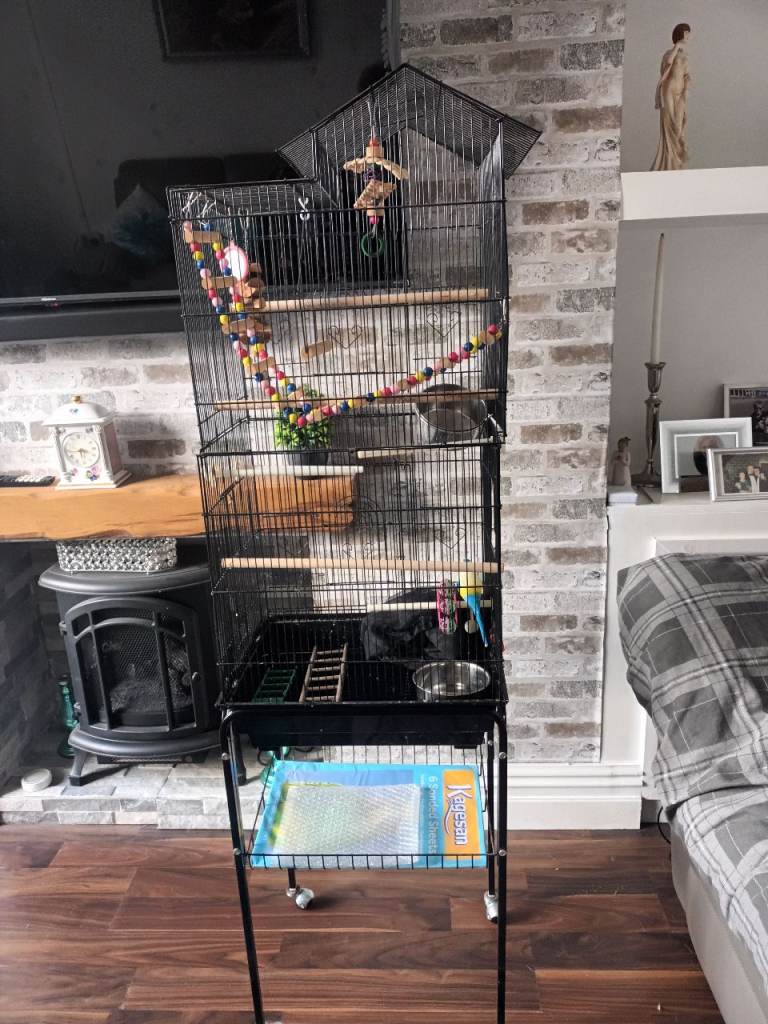 Large bird cage with toys