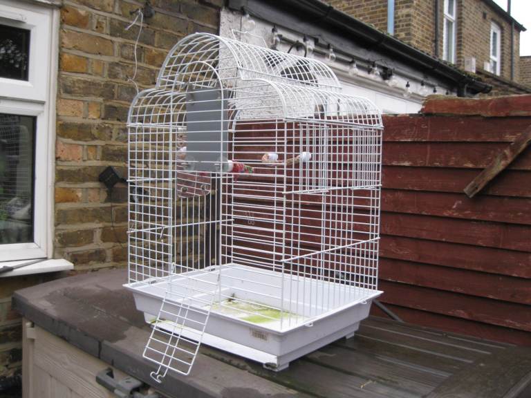 PARROT BIRD CAGE  TOTTENHAM N17 0NL