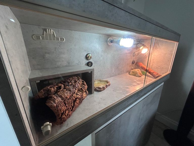 4’ Bearded Dragon Vivarium
