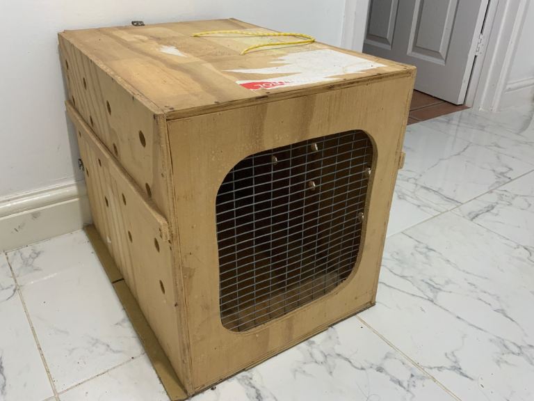 Pet wooden crate