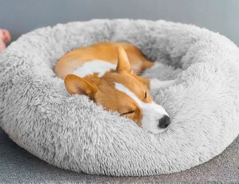 Large Plush Donut Pet Bed 90cm (Light Grey)