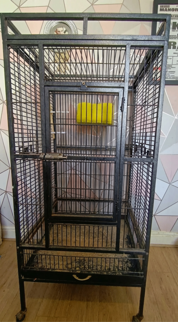 Bird cage 
