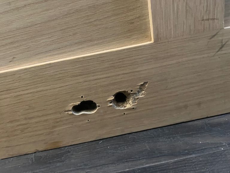 image for Pine door for sale