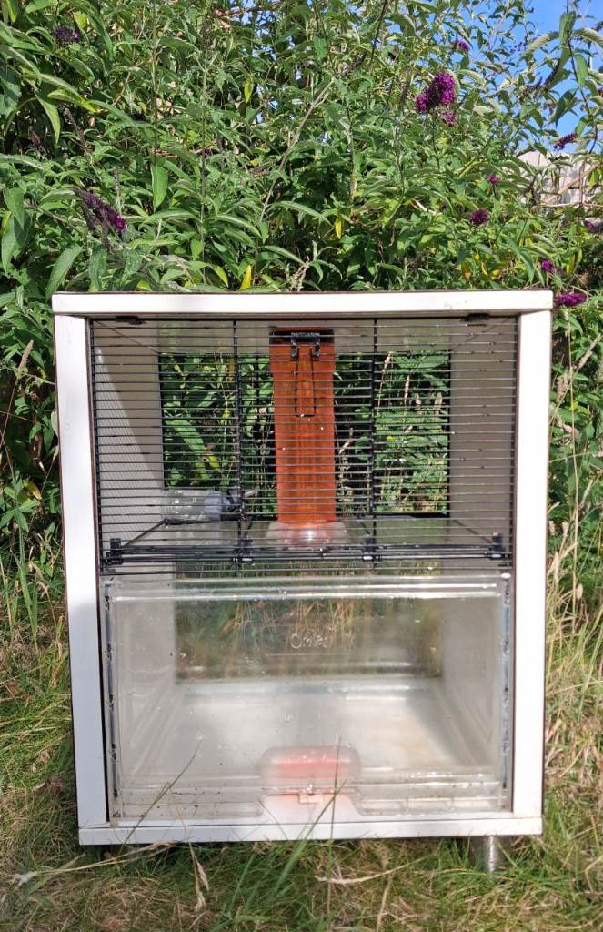 Large Omlet Rodent Cage / Small Animal Habitat With Accessories