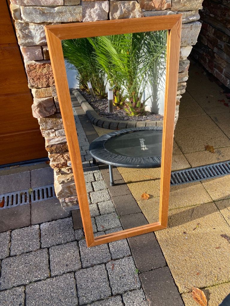 Pine Edged Tall Mirror