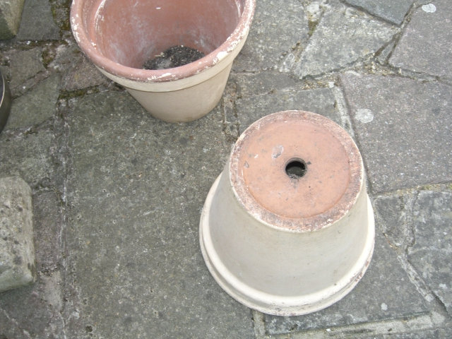  plant pots for the garden