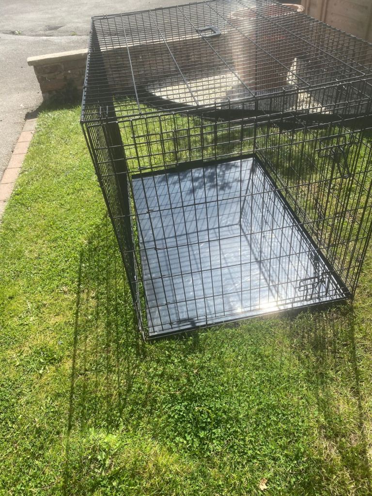 Large dog crate 