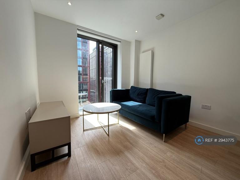 1 bedroom flat in Chester Road, Manchester, M15 (1 bed) (#2943775)