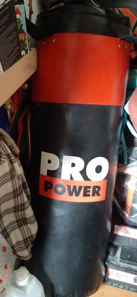 Punching bag for hanging on a hook