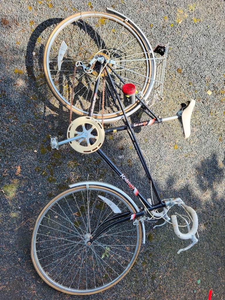 Vintage Raleigh Bike 80s