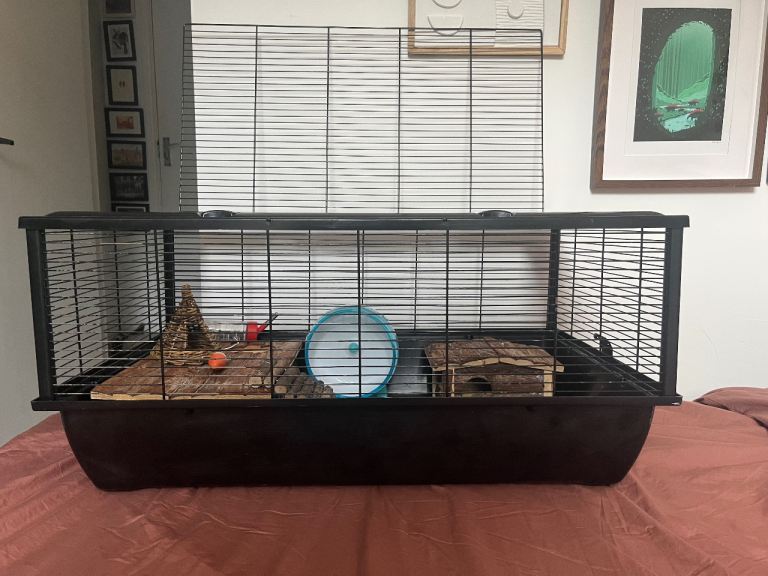 Hamster cage & accessories