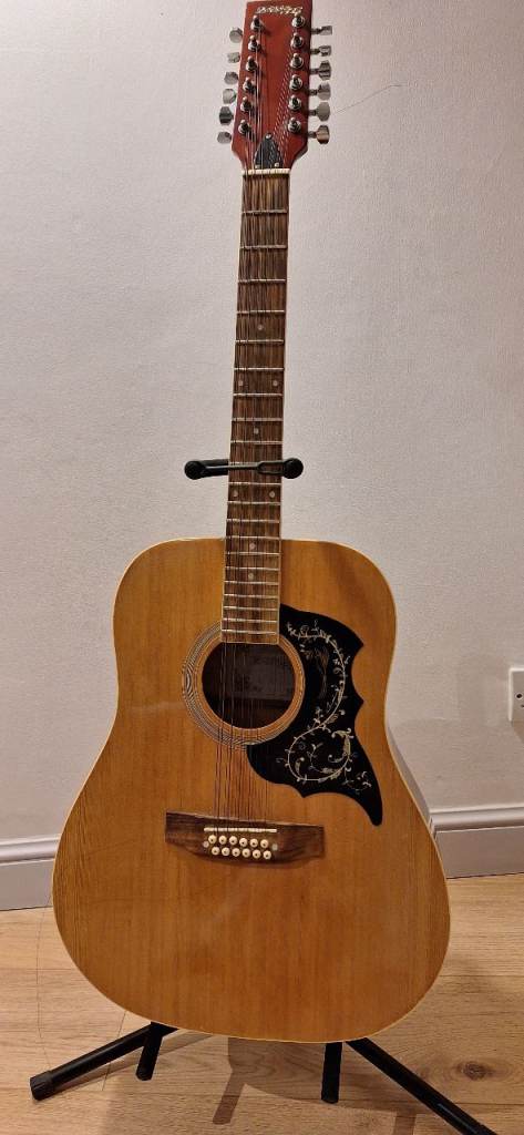 Star Fire 12 string acoustic guitar with case, capo, stand, strap and book.