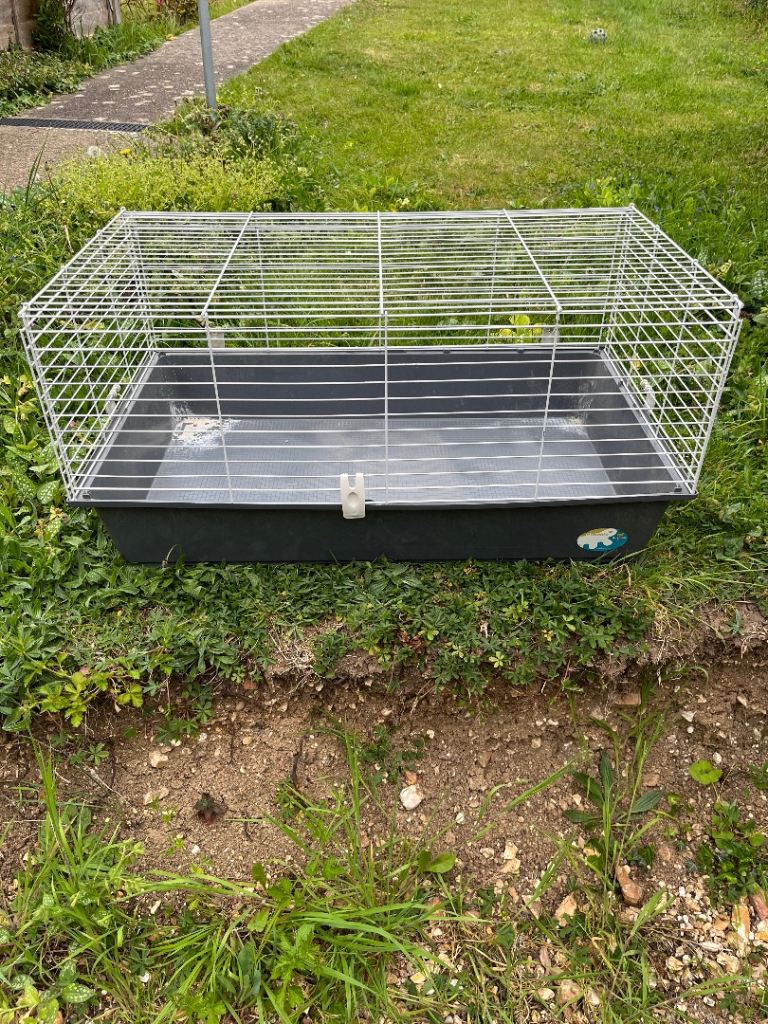 Indoor guinea pig cage 