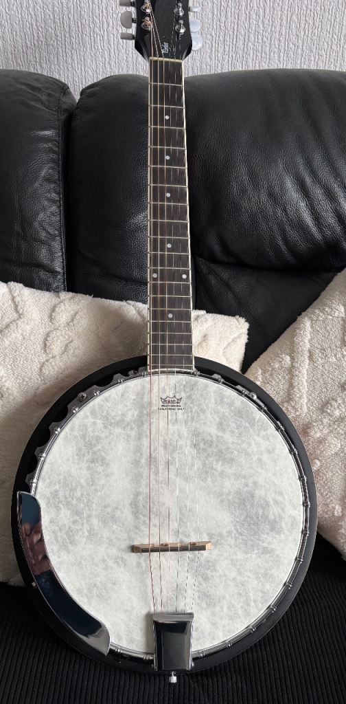 Barnes and Mullins 6 string banjo