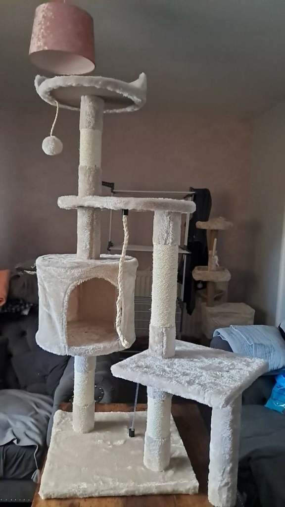New cat tree house 