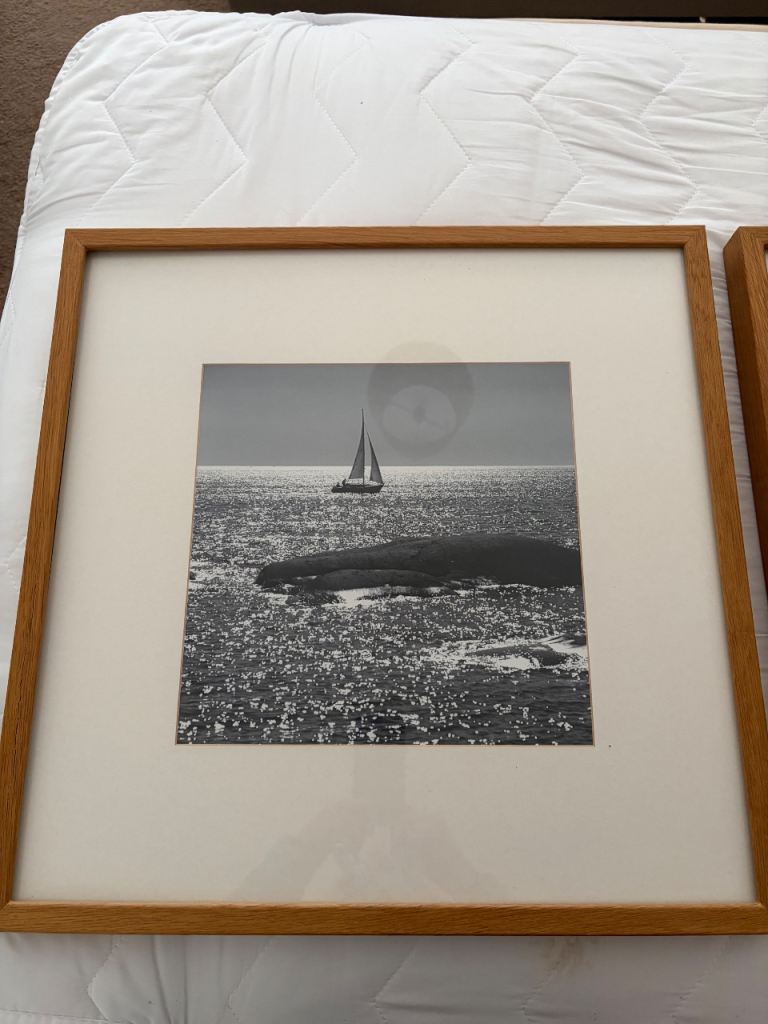 Reduced! Set of three framed, glazed greyscale photographs