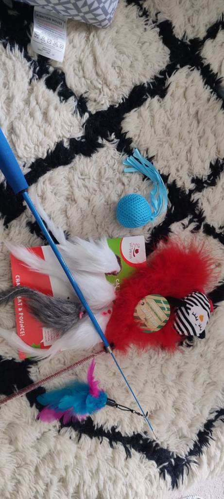 Cat toys bundle 