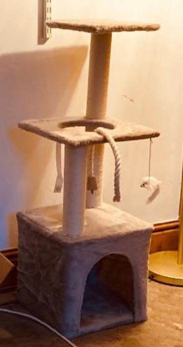  Same as this but no mouse. On 