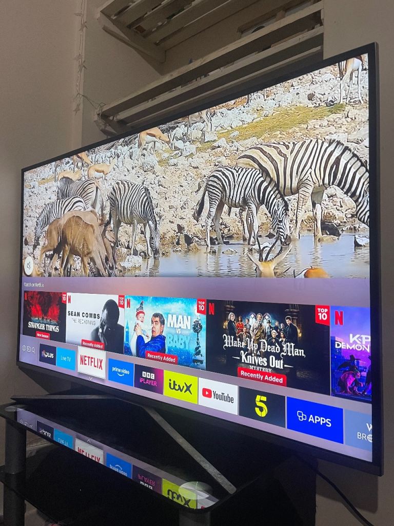 Samsung 49 Inch 4K Ultra HD Freeview HD Smart TV Wi-Fi Silver In Excellent condition