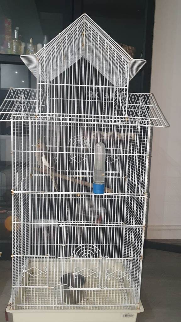 Cage for sale