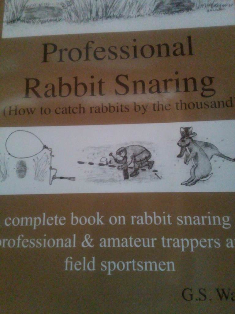Professional rabbit snaring 